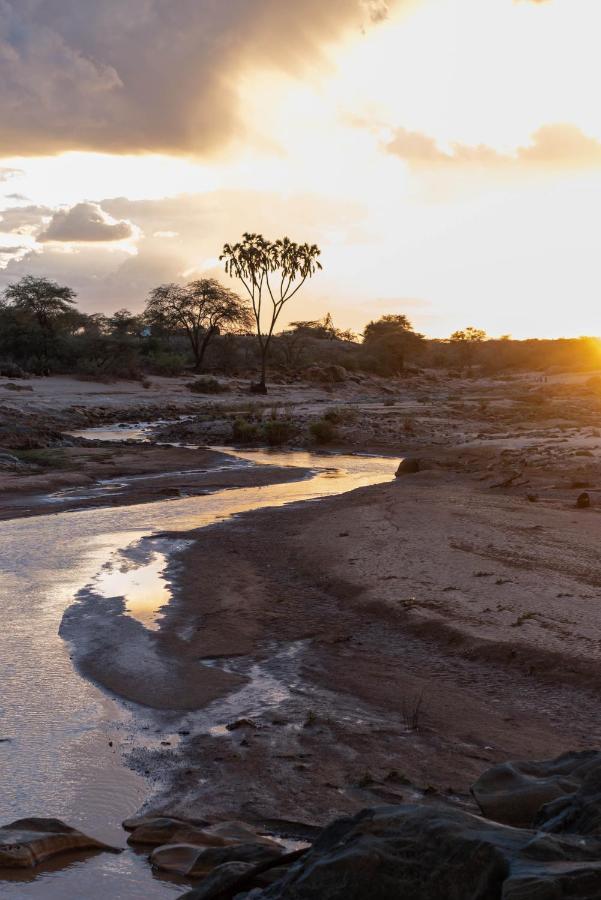 Sarova Shaba Game Lodge Archers Post Bagian luar foto